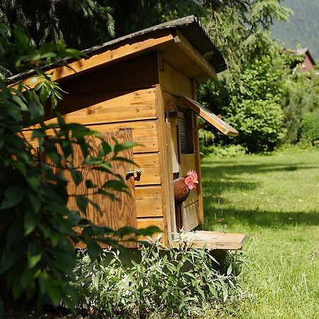 Beausite Apartments Interlaken Exterior foto